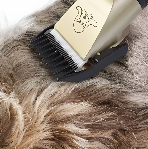 Cordless Pet Hair Clipper