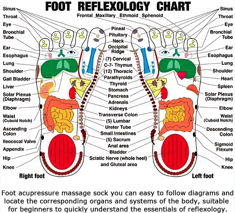 Reflex Accupressure Socks™