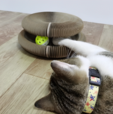 Transforming Cat Scratching Board